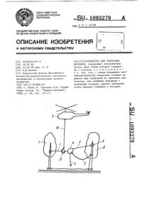 Загрузка...