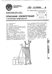 Загрузка...