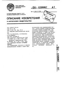 Загрузка...