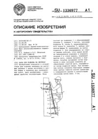 Загрузка...