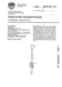 Загрузка...